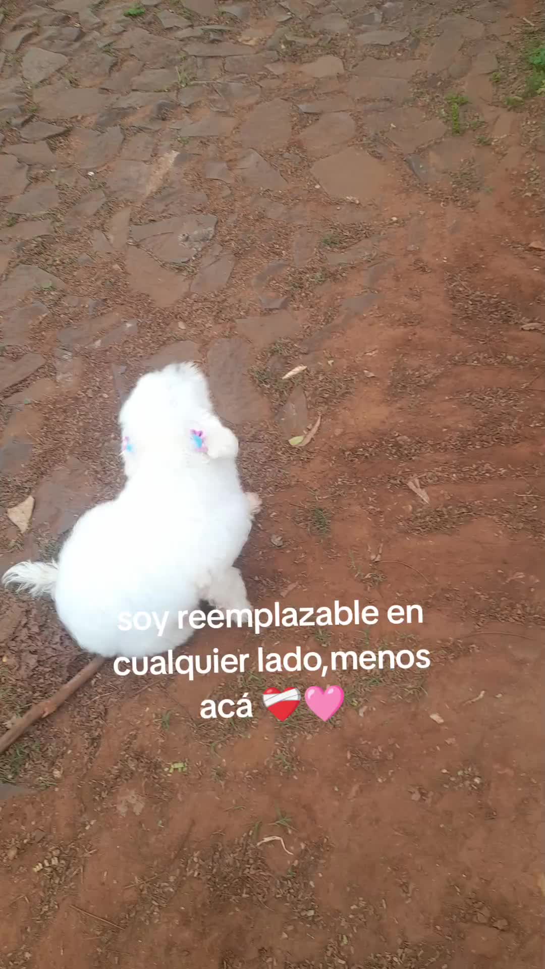 @ℳℐ🫧
