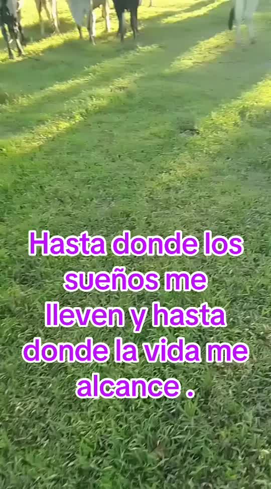 @Gaby herrera