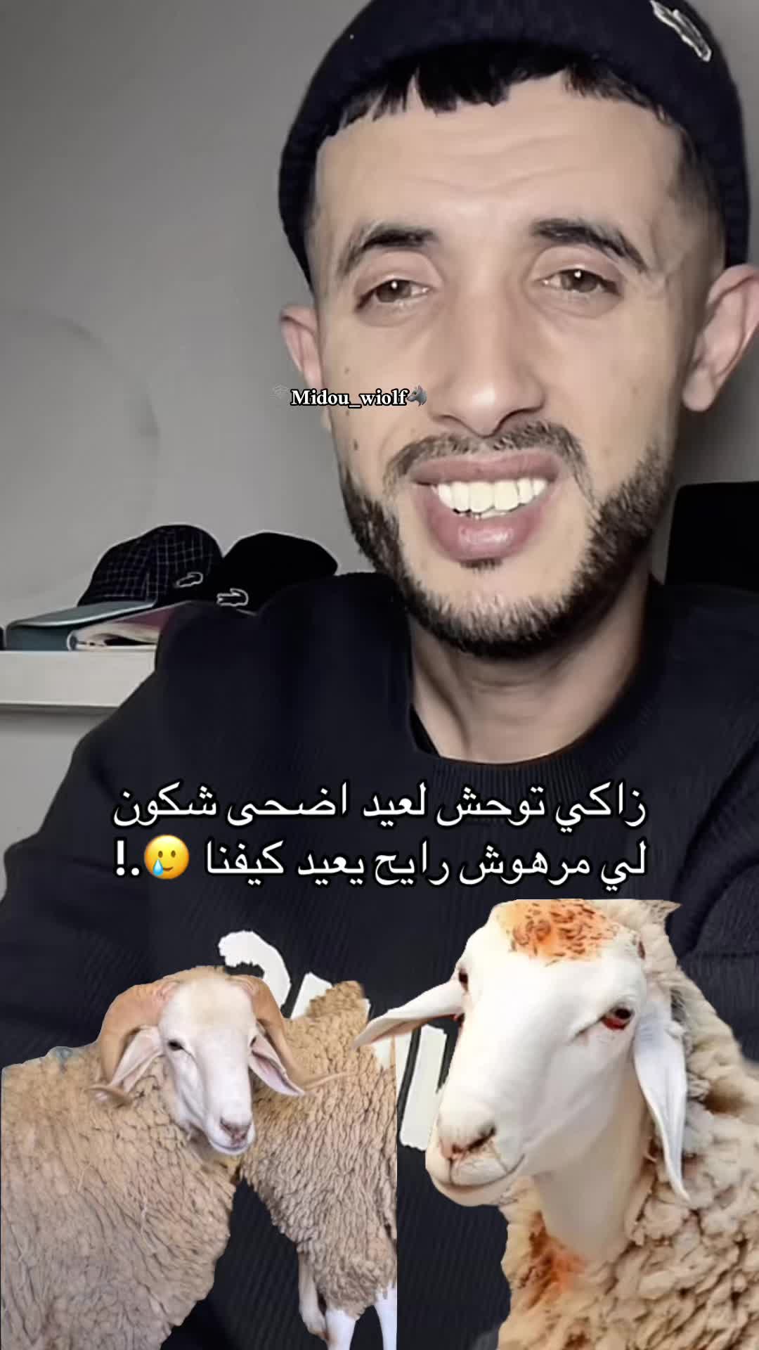 @midou_wolf3