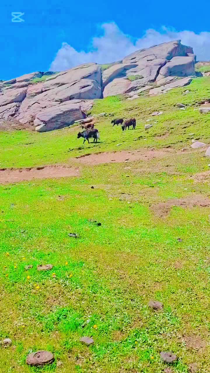 @MURAGYER ERBOL