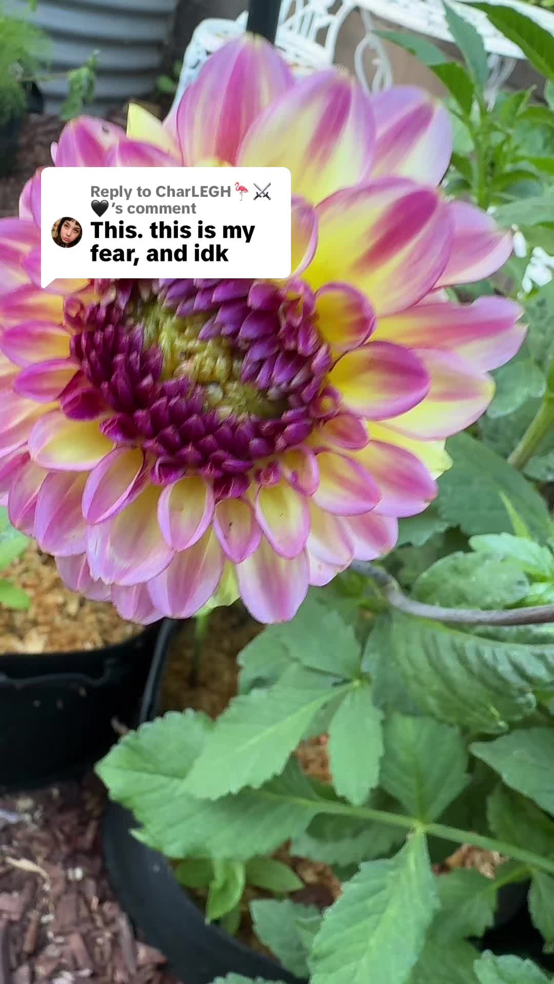 @Rylee’s Blooms