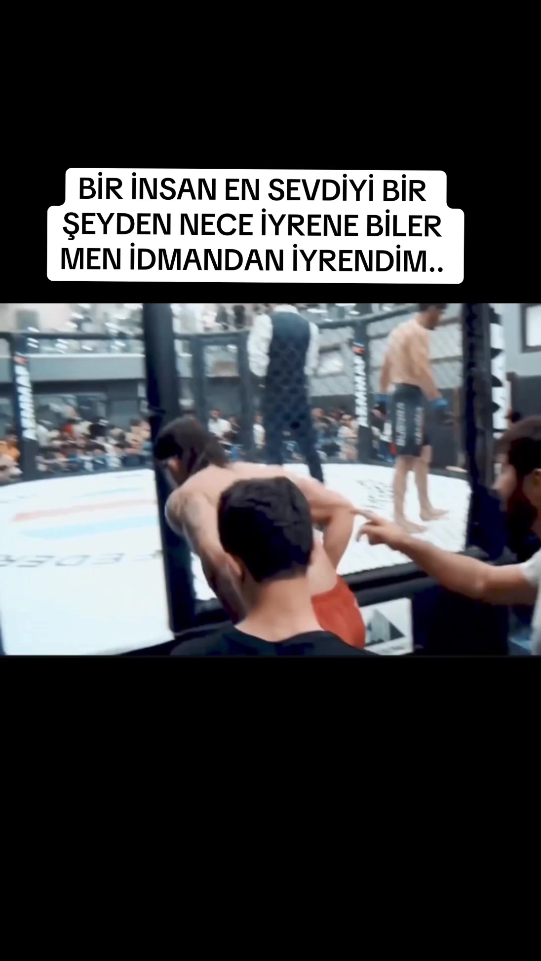 @Mirzayev sahil