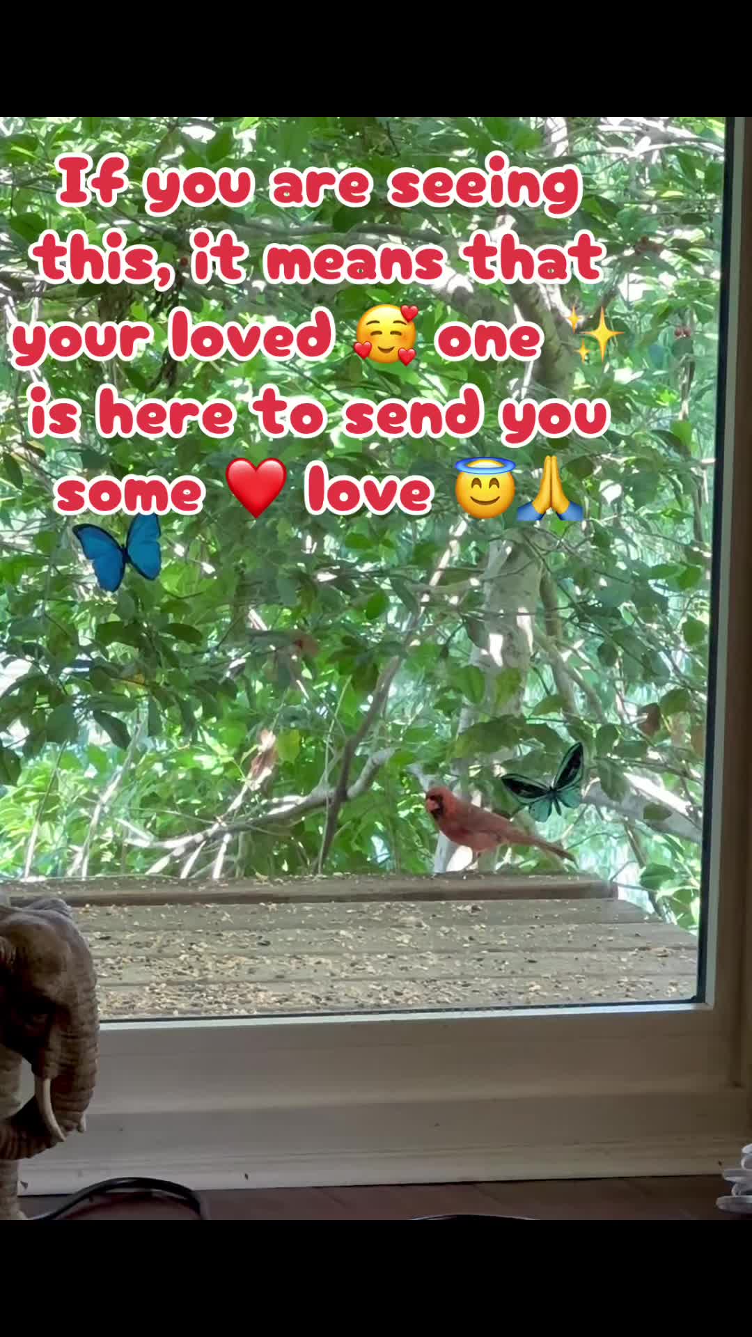 @E🌹