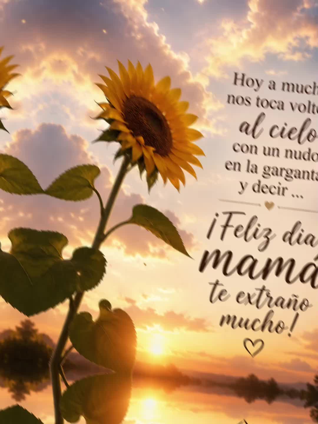 @Luzmaria