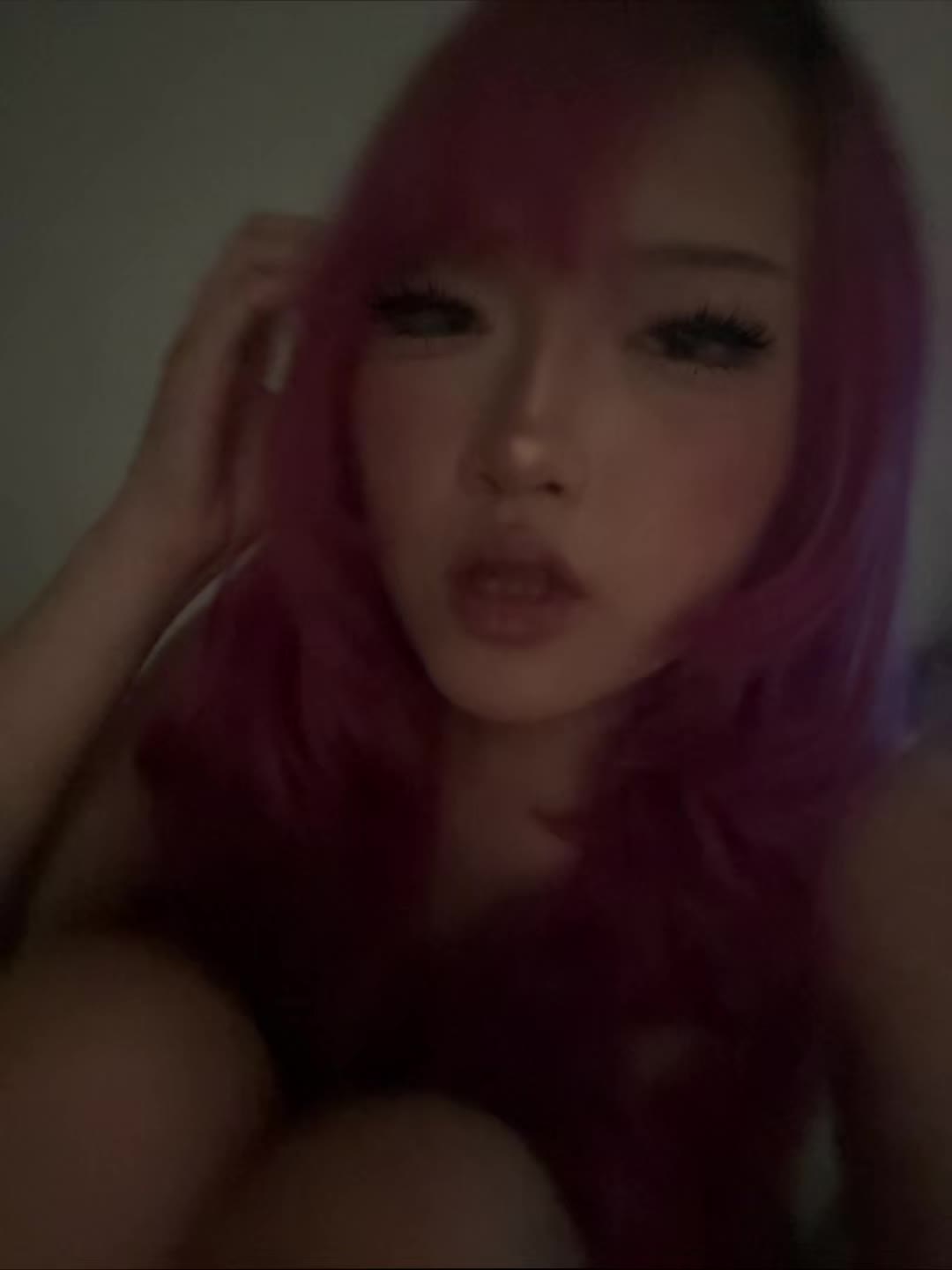 @˖˚ 🐾₊˚