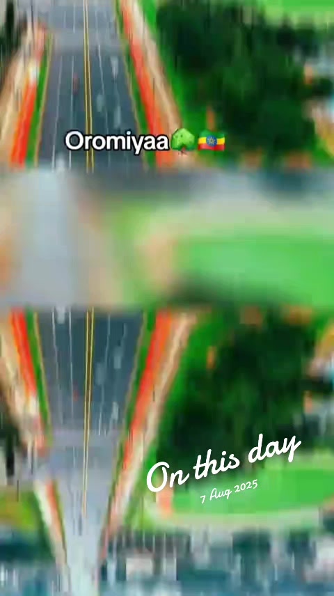 @Shimallis Abdisa Parody