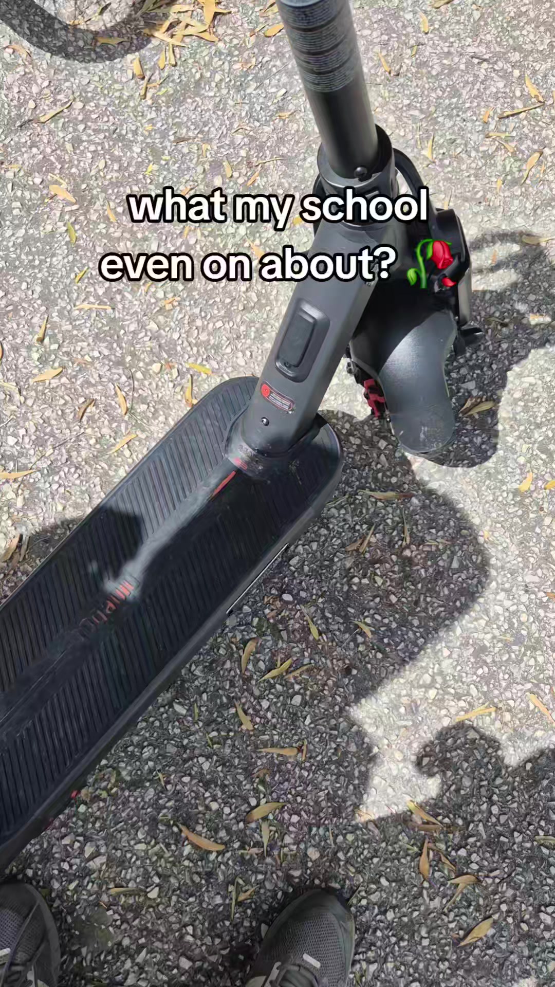 @Segwayer