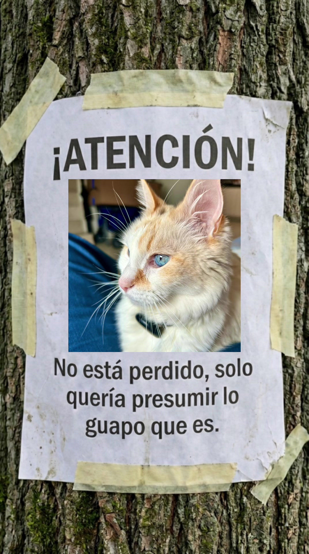 @Karen Castellanos