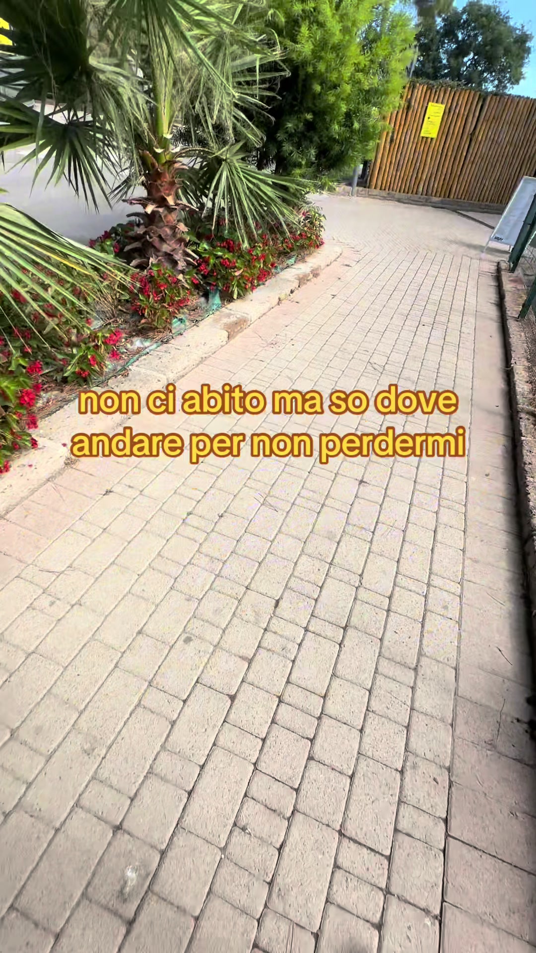 @stella_cadente💫