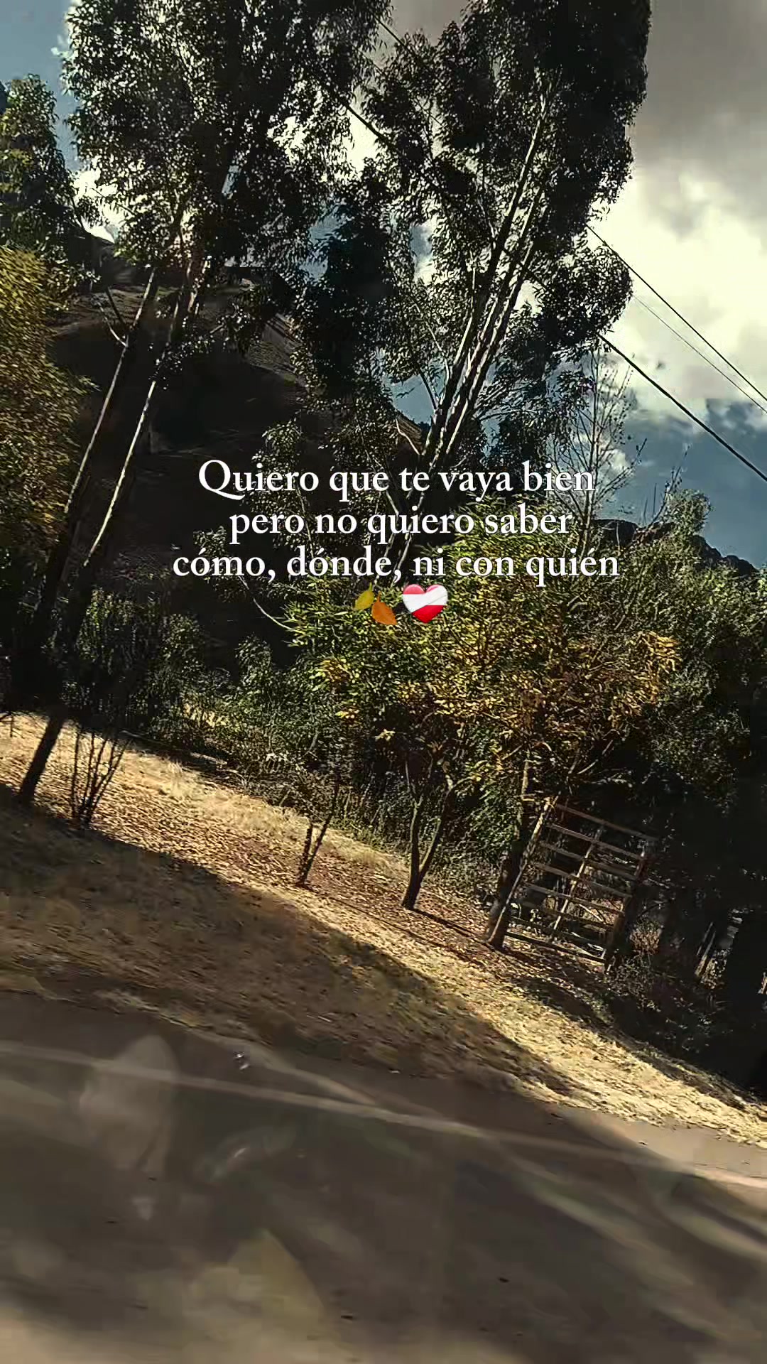@Merry....🍀🌻🥰