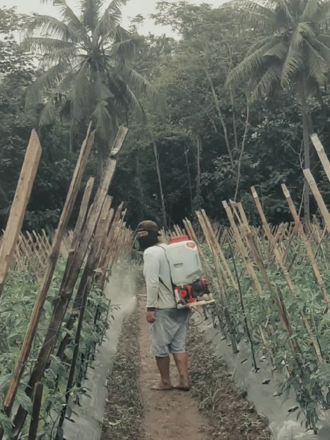 @Facations_id.