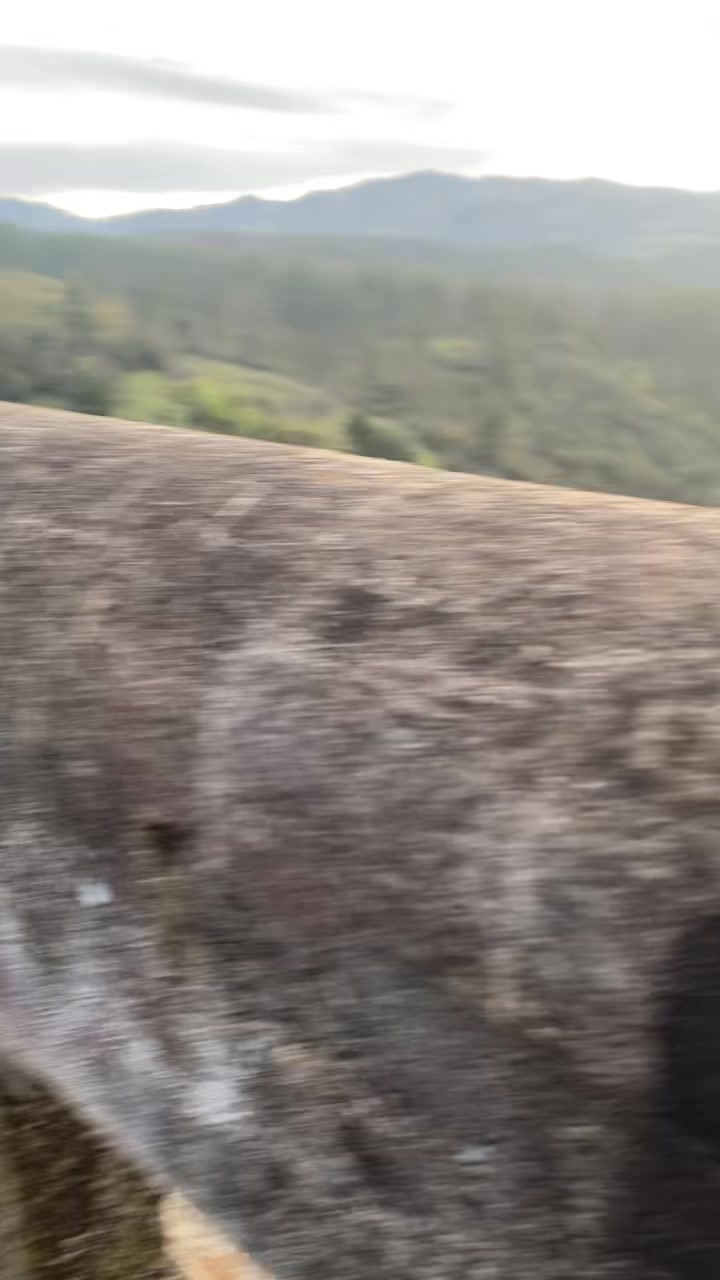@𓋹