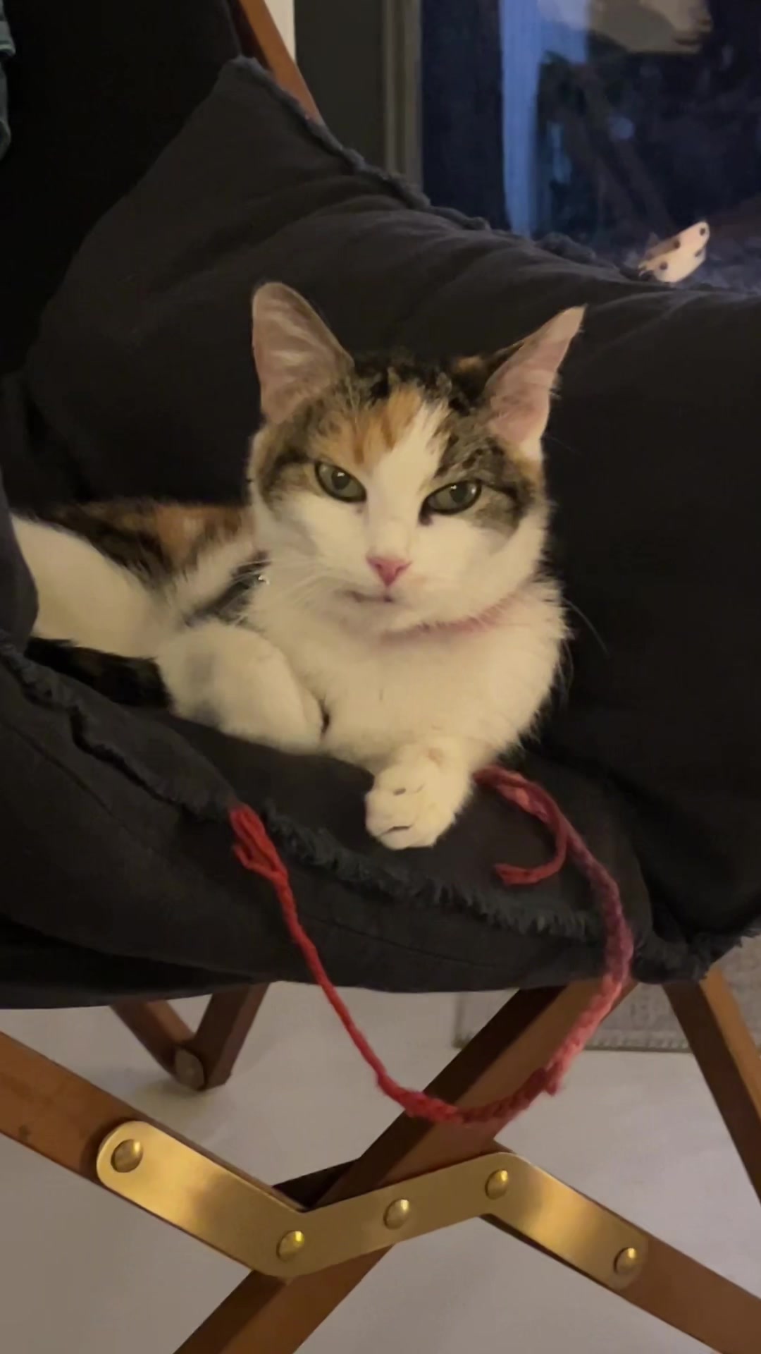 @pennyloafersmom