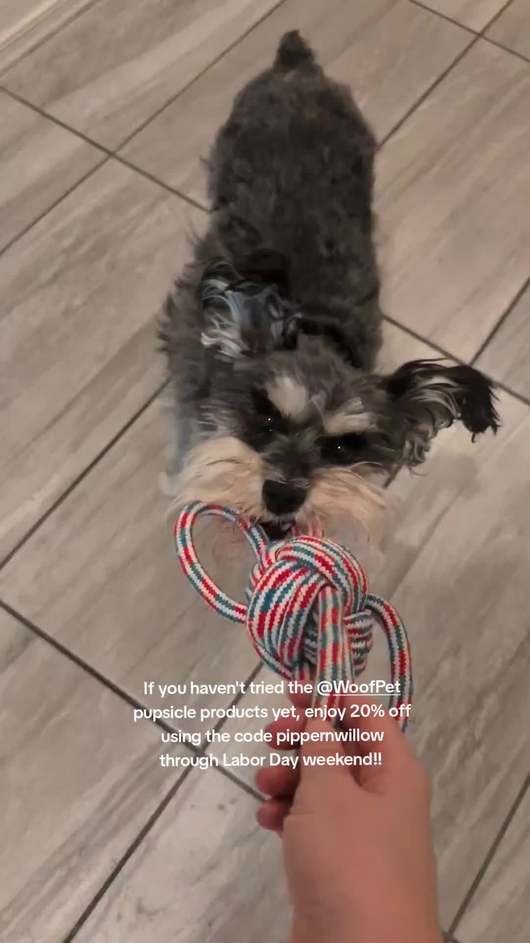 @Piper N Willow 🐶
