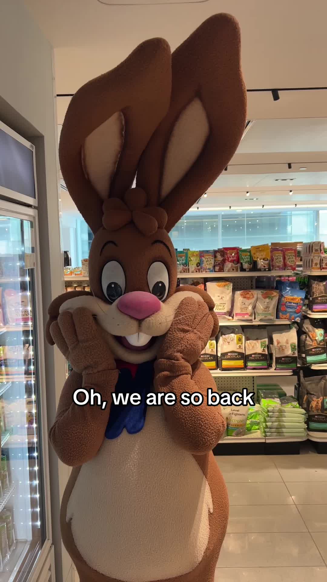 @Nesquik