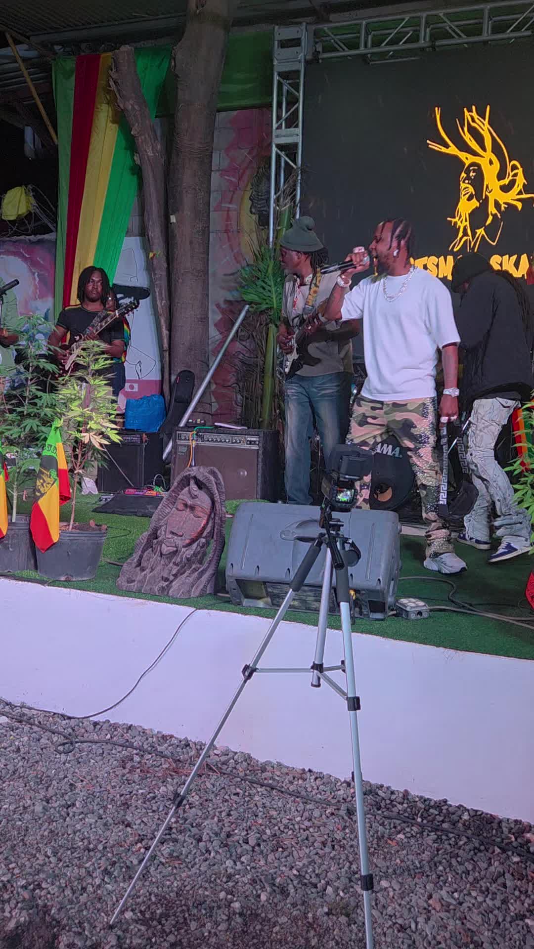@IslandinsightsJA