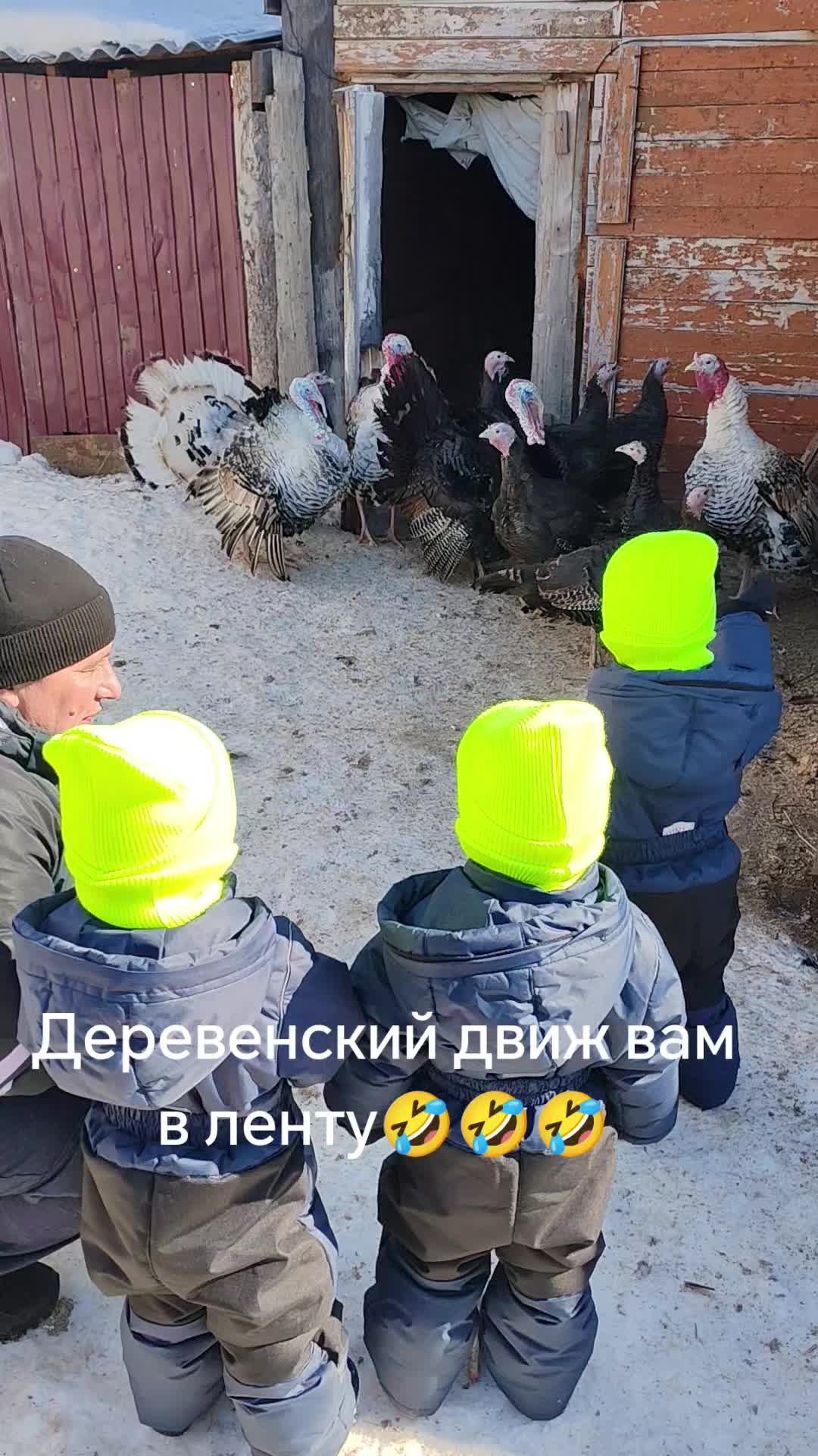 @Близнецы|Тройняшки