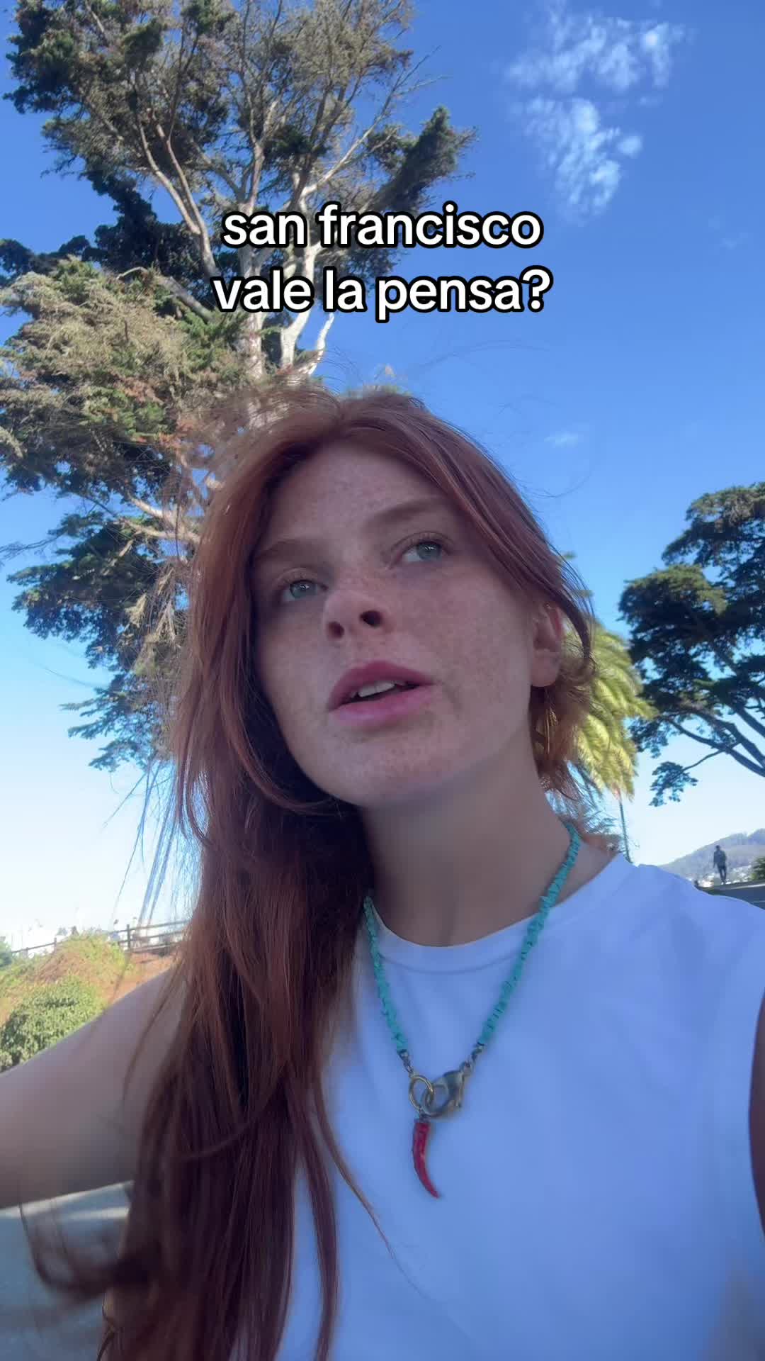 @aurora.sheaves