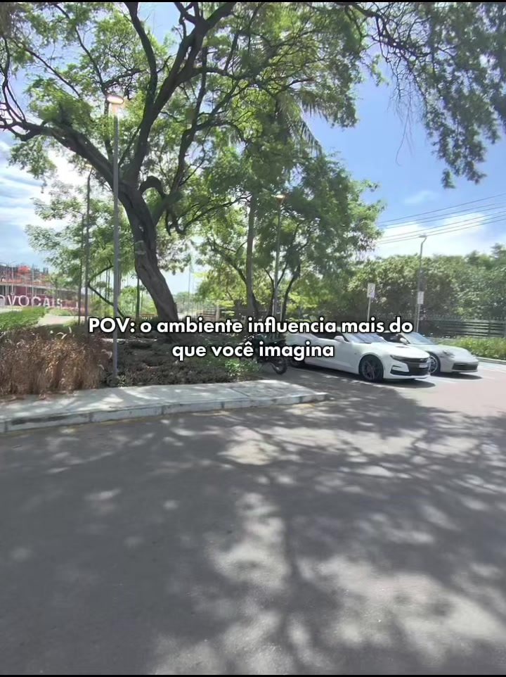 @eirubinho