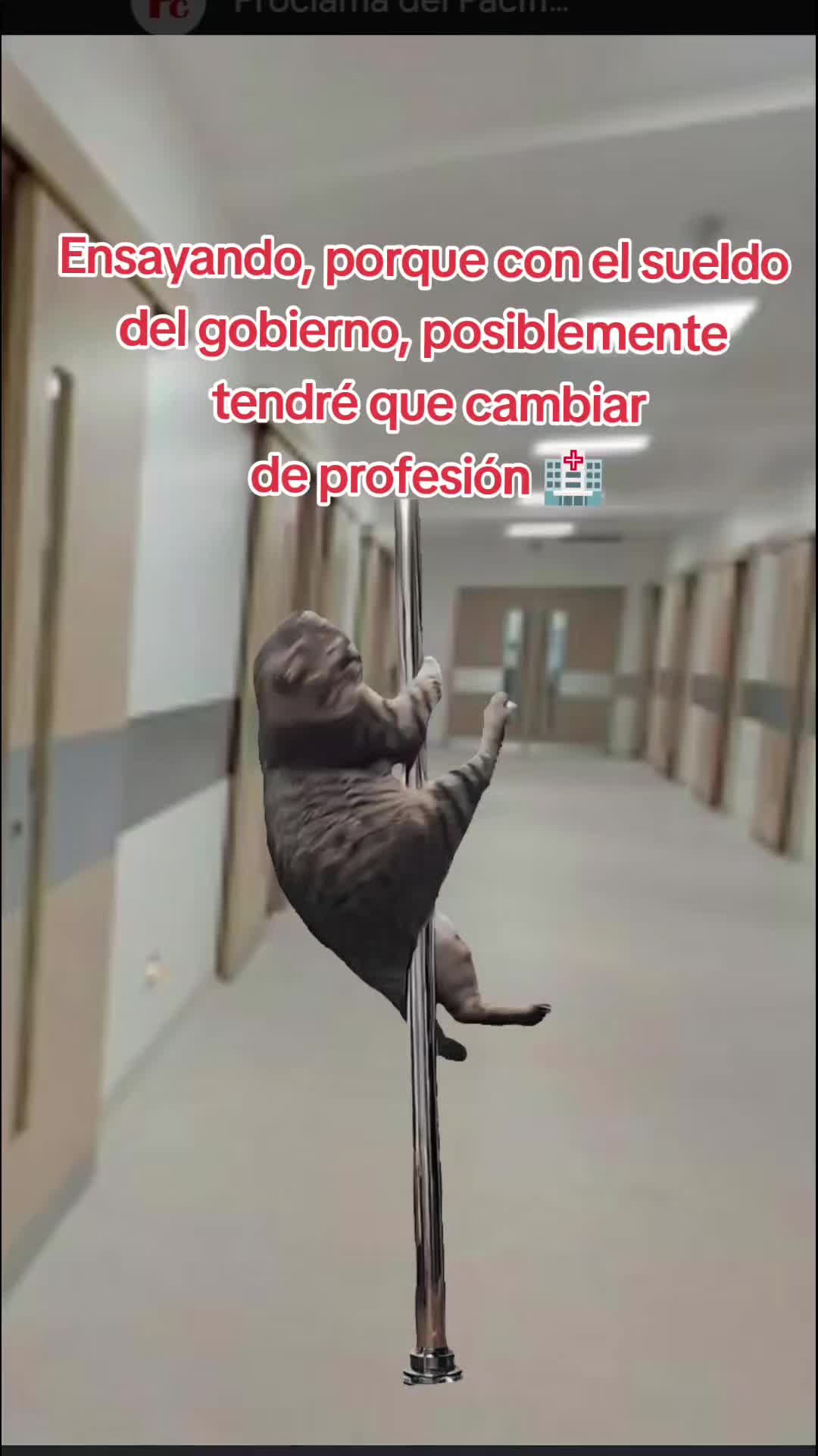 @Susan_Pereyra