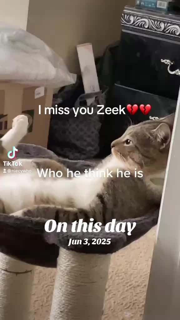 @niecywhat