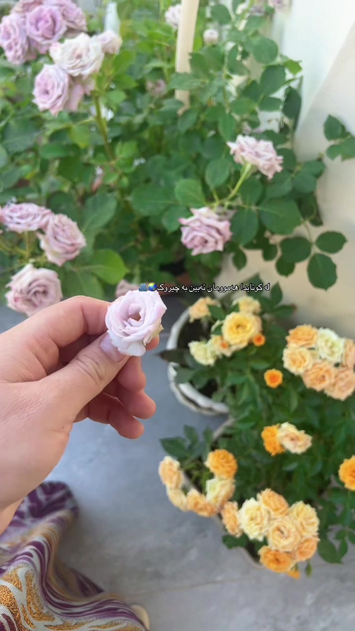 @Rnde💗