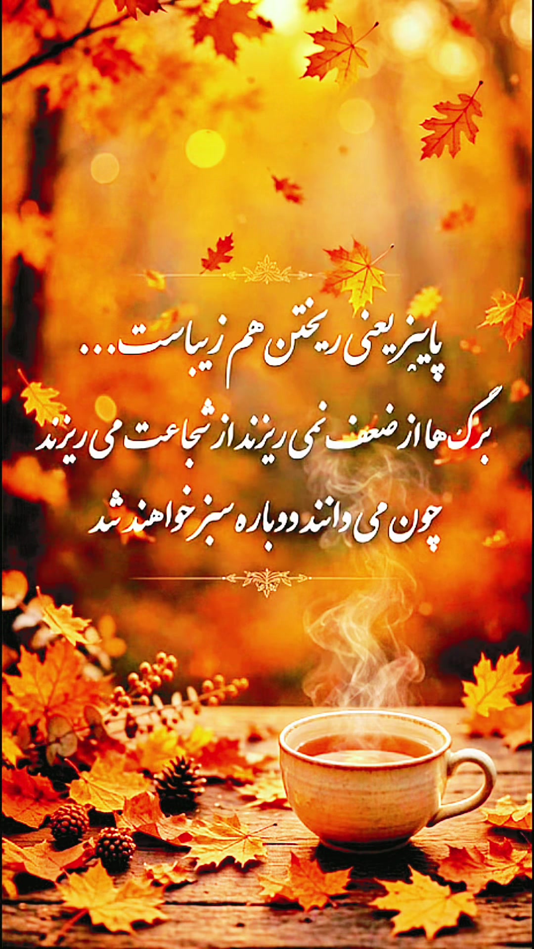 @harsh w.0000