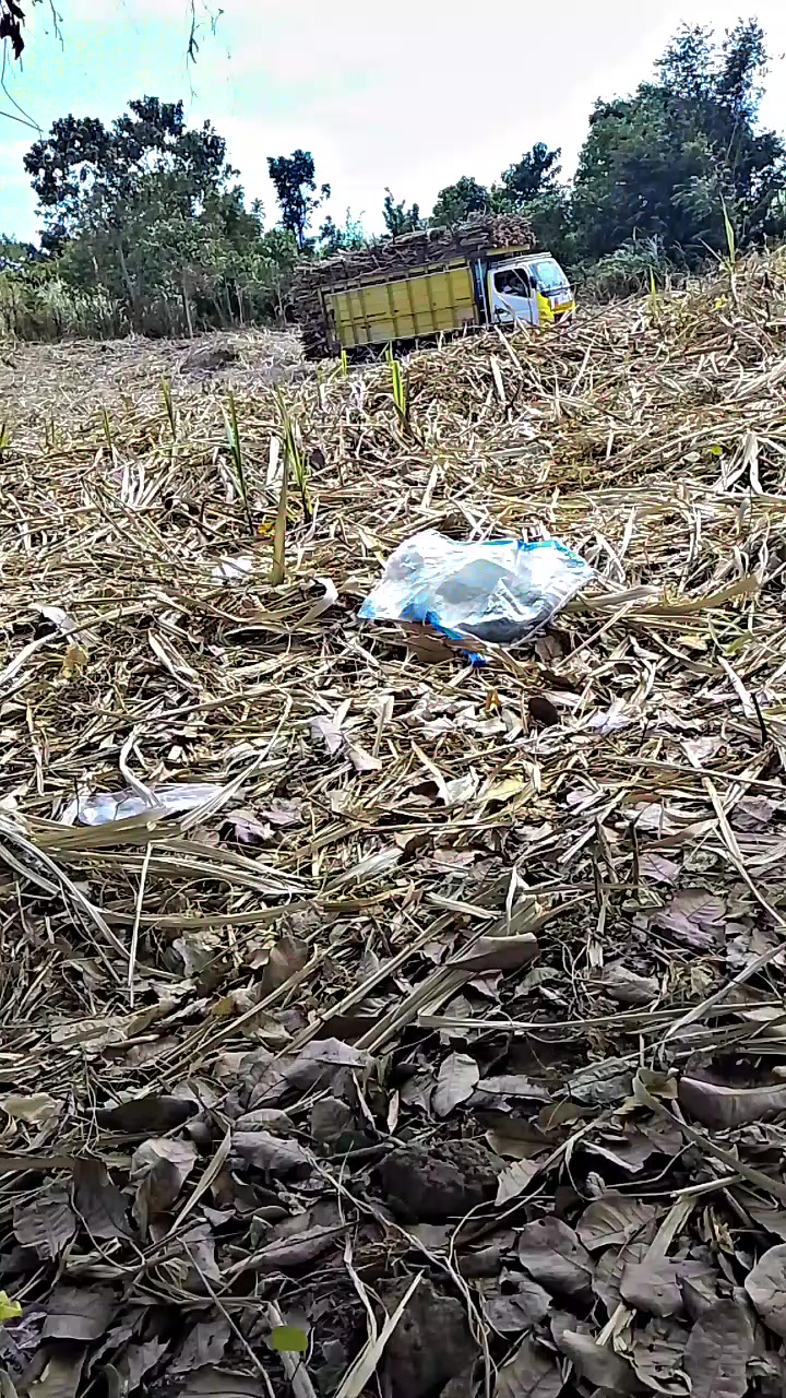 @hardi 02