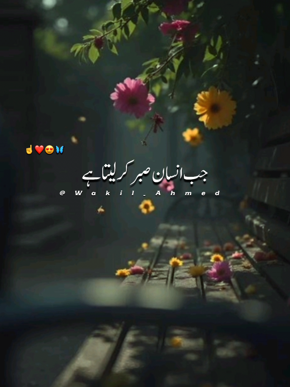 @wakilahmed