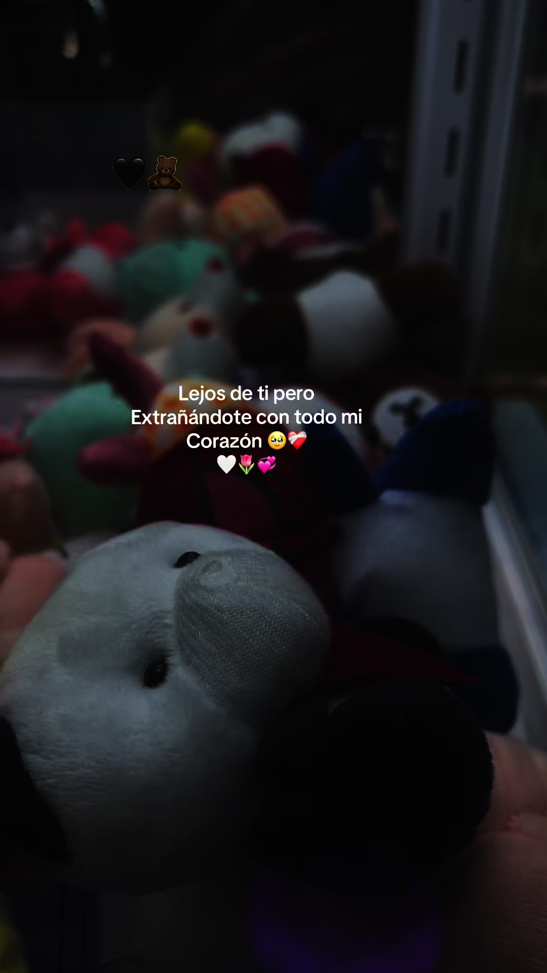 @(A)❤️🩹