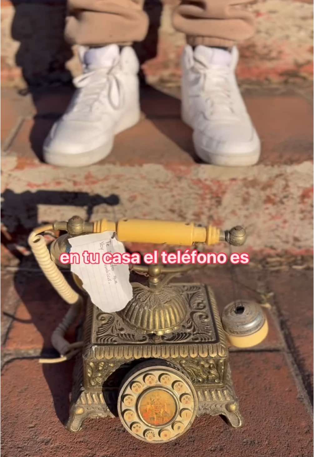 @VeggiBoy