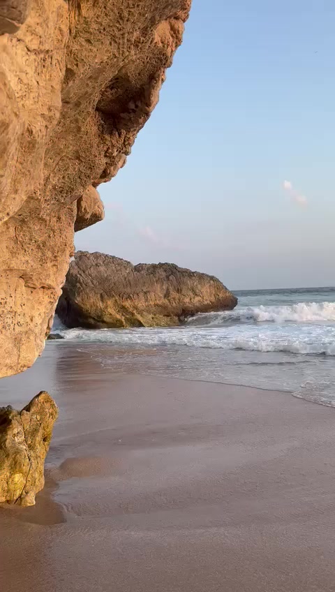 @habibi galbi