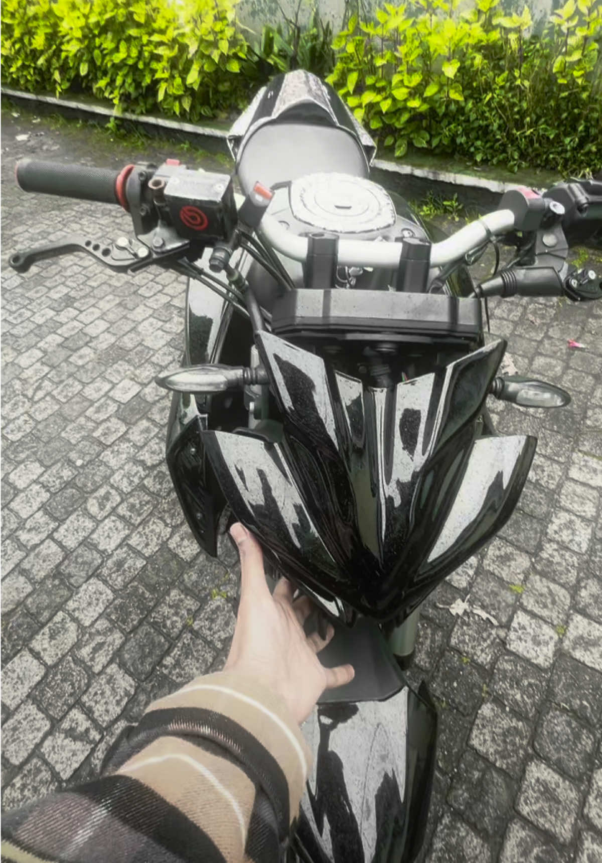 @𝗥 𝗲 𝗱 𝗹𝗼𝗴𝗲𝘀𝗵🕷️