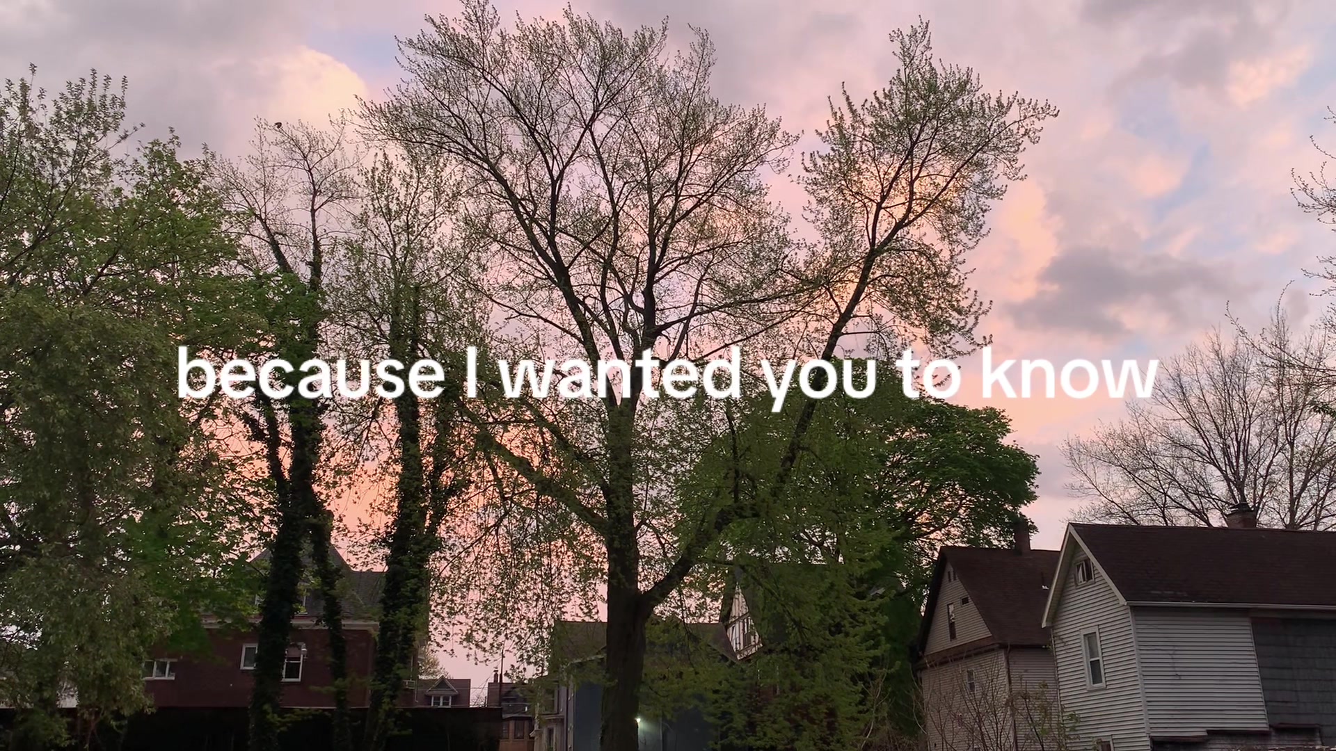@Kaila