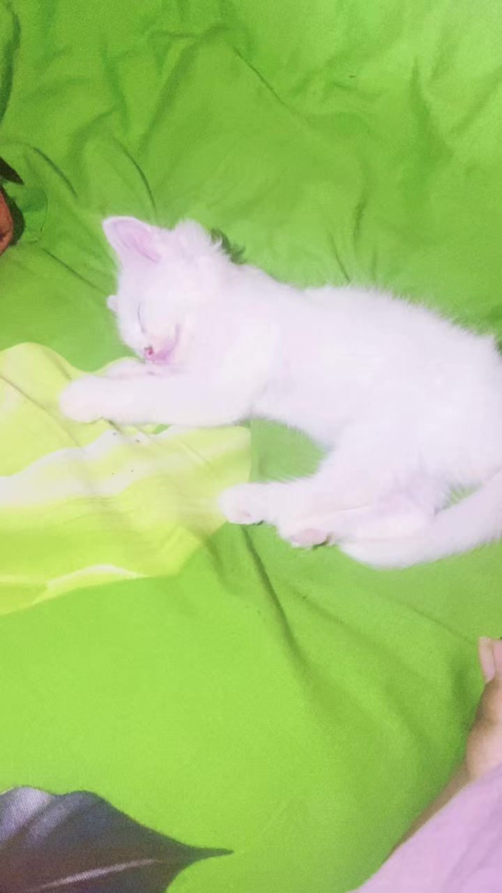 @🥰moni🥰