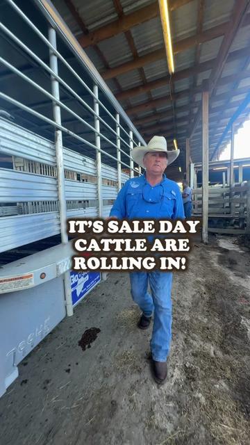 @Cattlemen’s Livestock Market