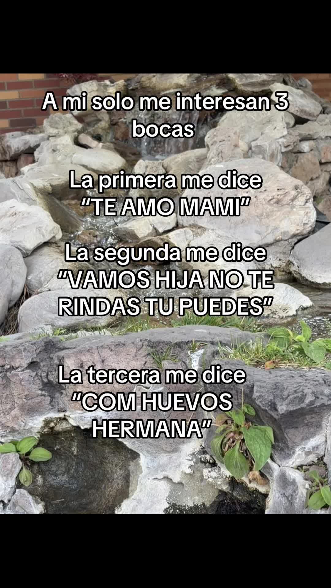 @jimenabarrientos5