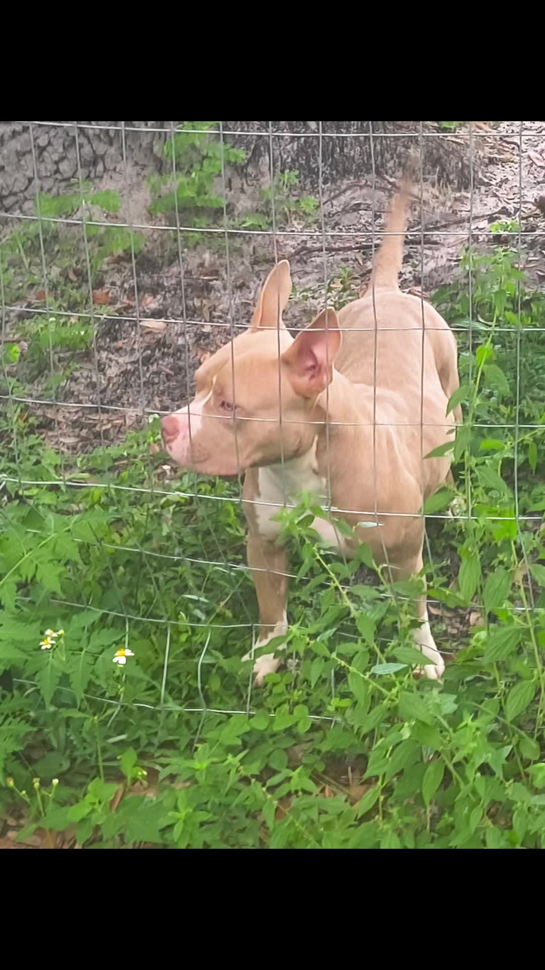 @MikeBlakely007