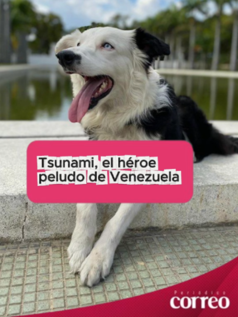 @Peri&oacute;dico Correo