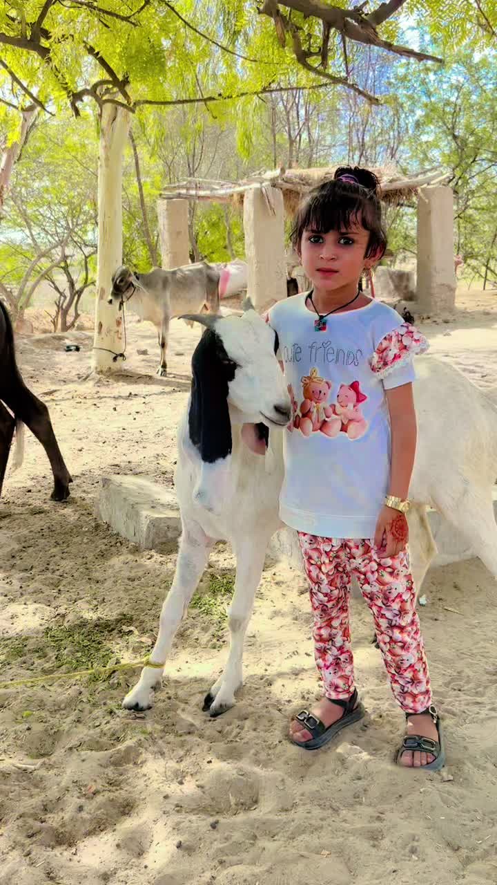 @Khan Ali pitafi