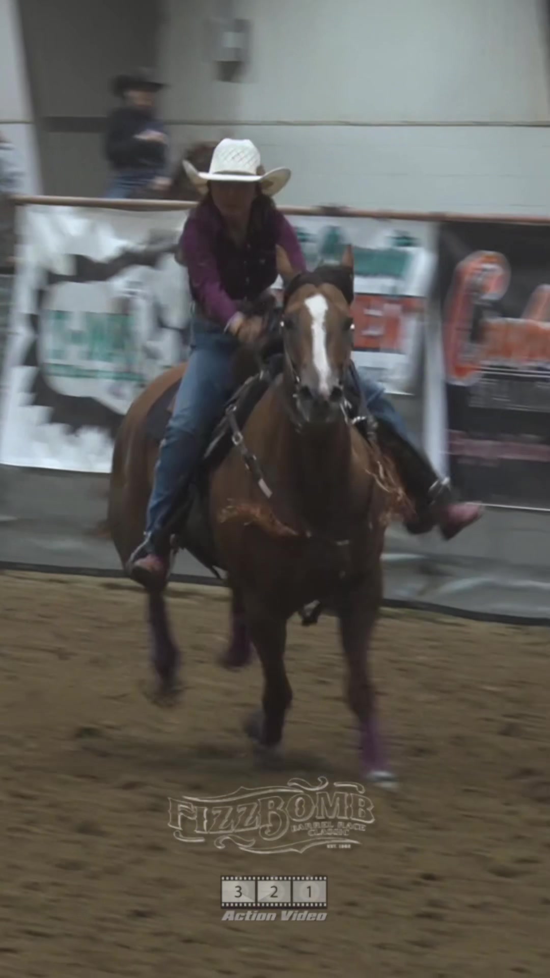 @88 Ranch Performance Horses