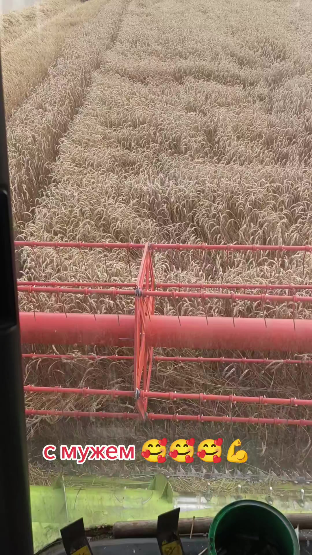 @Алёна