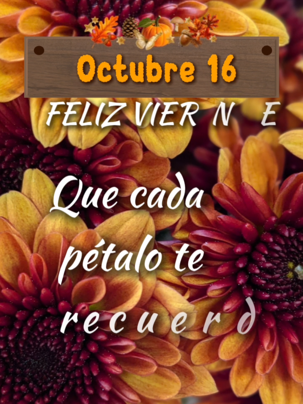 @Arely Mendoza Frases bonitas