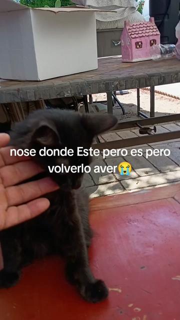 @Jose Hernandez