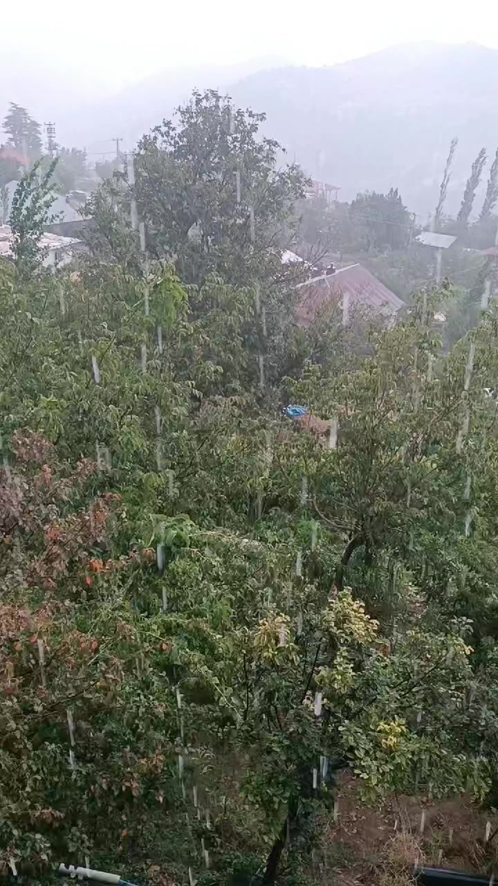 @DAĞCI.46