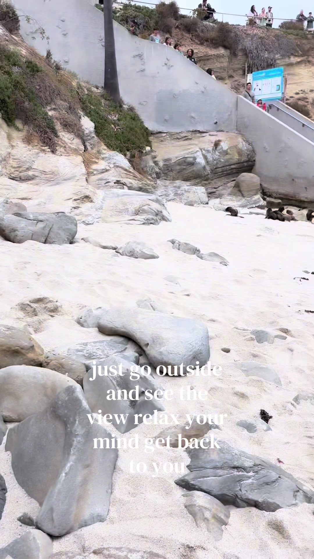 @🦖