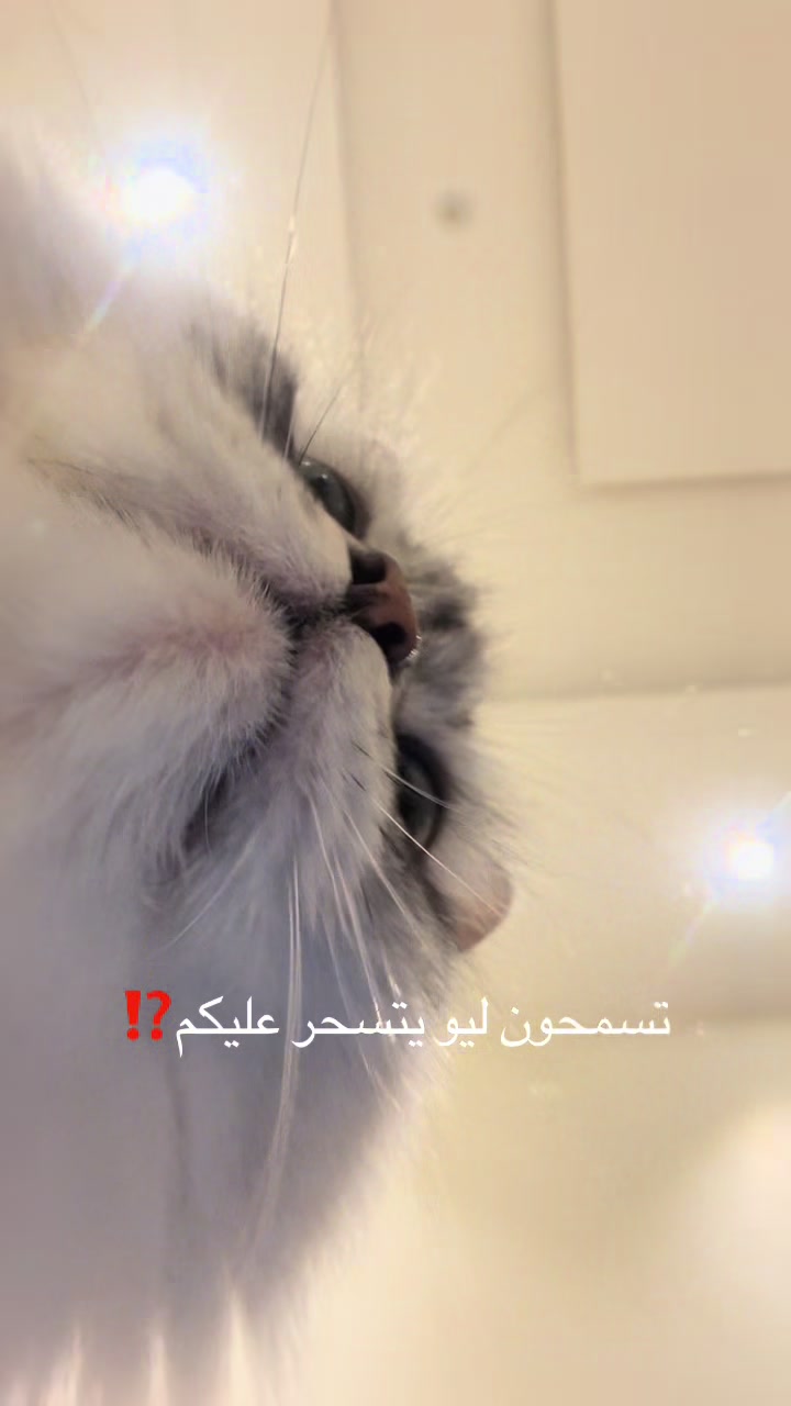 @شـــ☀️ــــد