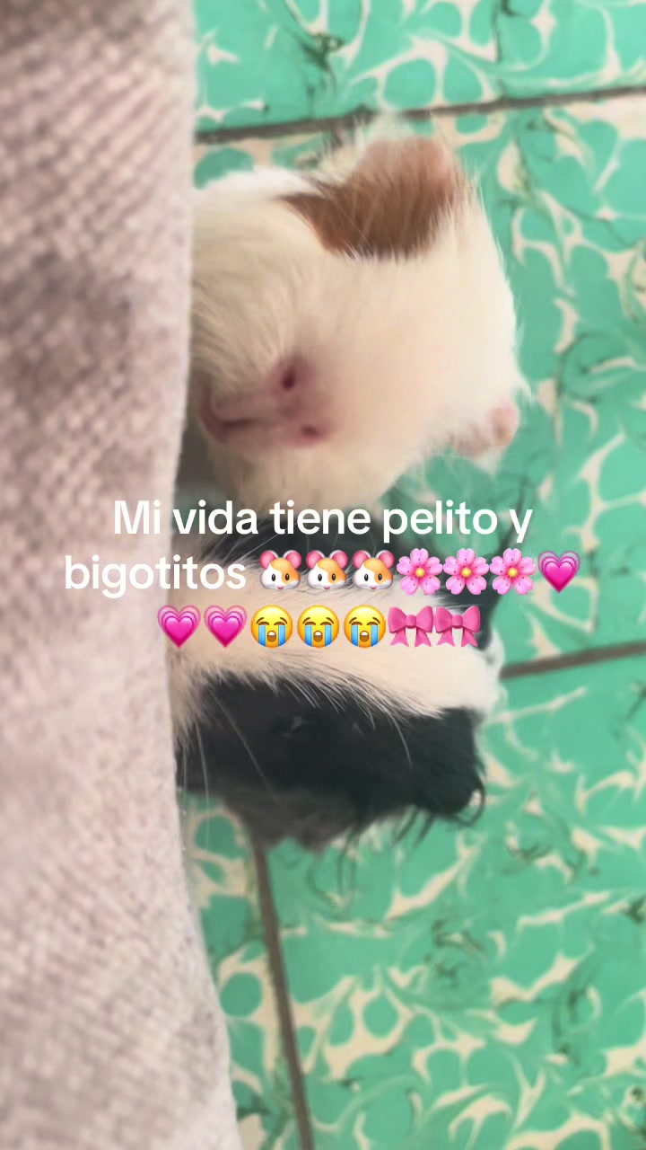 @Natalia 🌸🌸🌸🌸