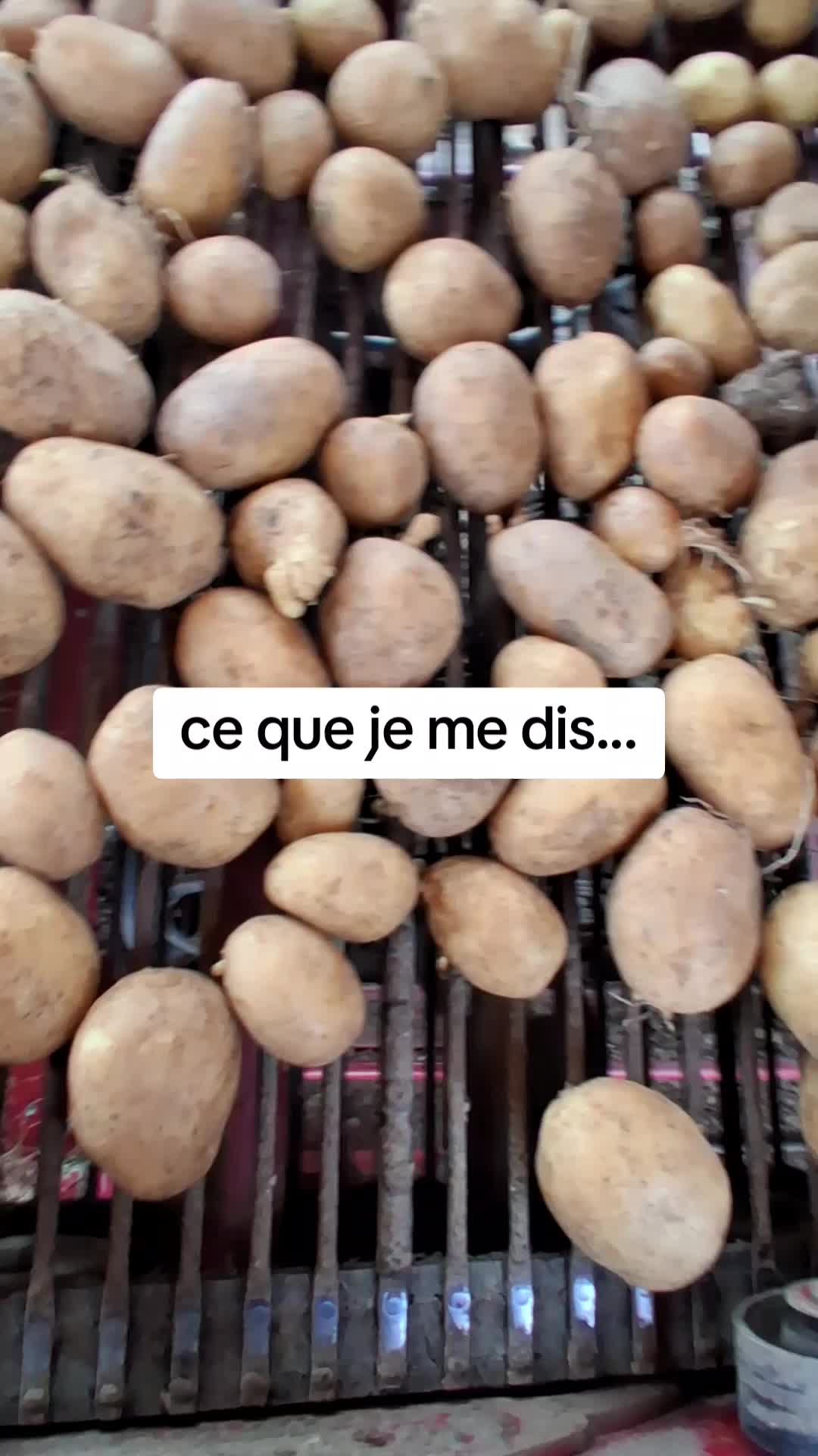 @Marina Caillault