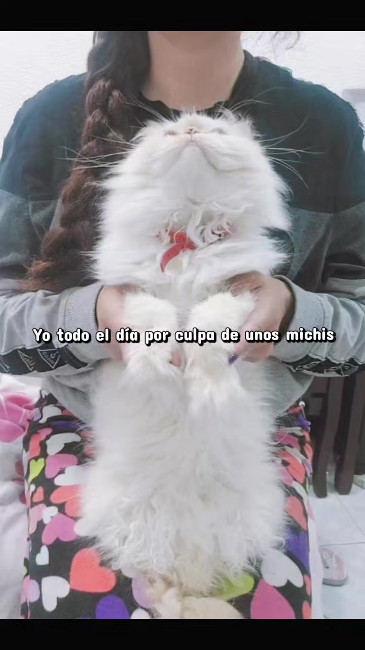 @Mahpeiker